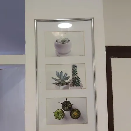 Apartment Bob *