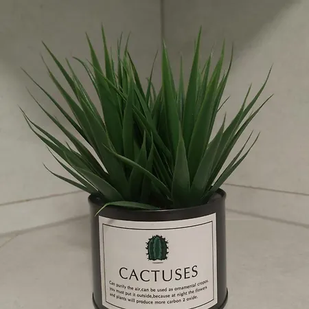 Mepas アパート モスタル