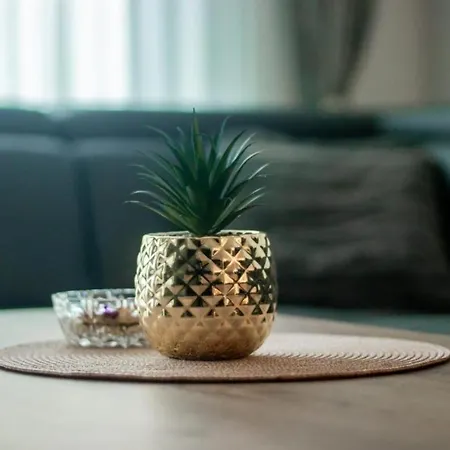 Appartement Bob